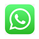 WhatsApp icon